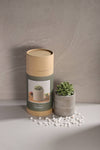 Succulent in Planter Diffuser Gift Set for Home Decor