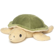  Turtle Junior Warmies