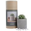 Succulent in Planter Diffuser Gift Set for Home Decor
