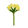 Pack of 5 Stems Real Touch Medium Open Tulip