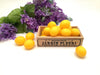 Italian Scented Soap. Citrus Lemon Limoncello Party Favors