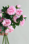 32" Ultra Realistic Elegant Real Touch Artificial Peony