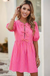 Striped Print Bow Detail Mini Dress