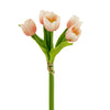Pack of 5 Stems Real Touch Medium Open Tulip