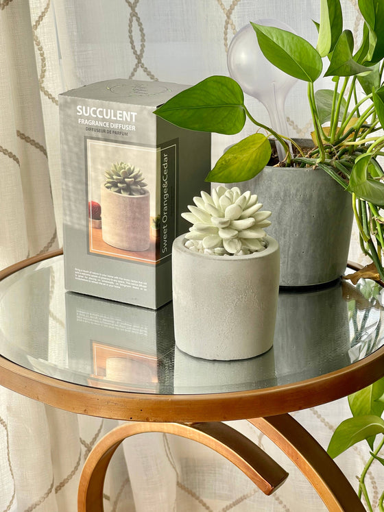 Succulent in Planter Diffuser Gift Set - Sweet Orange Cedar