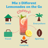 Lemonade Variety Pack Cocktail Mixers -12 Serving Multipack