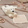 Sheep Blanket Warmies