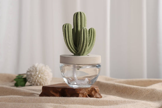 Cactus - Saguaro Cactus ceramic diffuser gift set -100ml