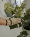 Plant Care Gloves – Leaf Lux
