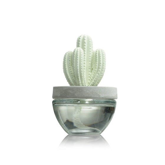 Cactus - Saguaro Cactus ceramic diffuser gift set -100ml