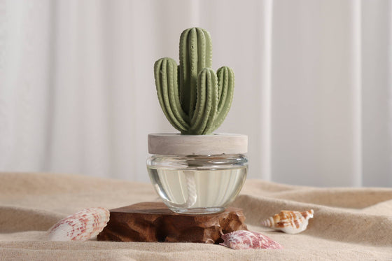 Cactus - Saguaro Cactus ceramic diffuser gift set -100ml