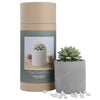 Succulent in Planter Diffuser Gift Set for Home Decor