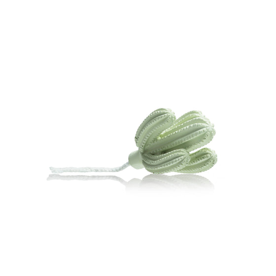 Cactus - Saguaro Cactus ceramic diffuser gift set -100ml