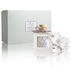 Diffuser Sets Gifts Ceramic Flower (2025)-Pretty Valley Home
