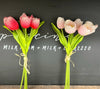 Pack of 5 Stems Real Touch Medium Open Tulip