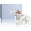 Diffuser Sets Gifts Ceramic Flower (2025)-Pretty Valley Home