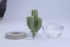 Cactus - Saguaro Cactus ceramic diffuser gift set -100ml