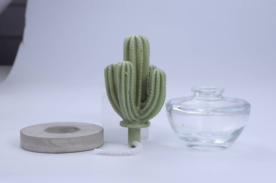 Cactus - Saguaro Cactus ceramic diffuser gift set -100ml