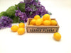 Italian Scented Soap. Citrus Lemon Limoncello Party Favors