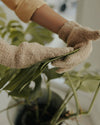 Plant Care Gloves – Leaf Lux