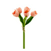 Pack of 5 Stems Real Touch Medium Open Tulip