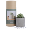 Succulent in Planter Diffuser Gift Set for Home Decor