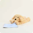 Golden Dog Blanket Warmie