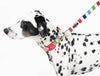 Kate spade new york Dog Collar AirTag Case Seaside Strip