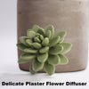 Succulent in Planter Diffuser Gift Set for Home Decor