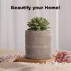 Succulent in Planter Diffuser Gift Set for Home Decor