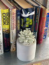 Succulent in Planter Diffuser Gift Set - Frozen Pear