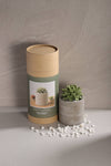 Succulent in Planter Diffuser Gift Set for Home Decor