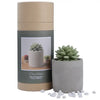 Succulent in Planter Diffuser Gift Set for Home Decor