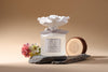 Marigold Ceramic Flower Diffuser Gift Set - White Jasmine