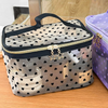 Sheer Heart Print Cosmetic Case