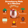Strawberry Mule Mixer - Single Packets / Caddy Refills