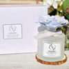 Diffuser Sets Gifts Ceramic Flower (2025)-Pretty Valley Home