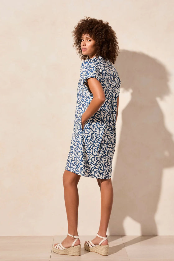 Knit Dress w/Sleeve Detail