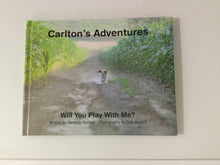  Carlton's Adventures - Will You Play With Me